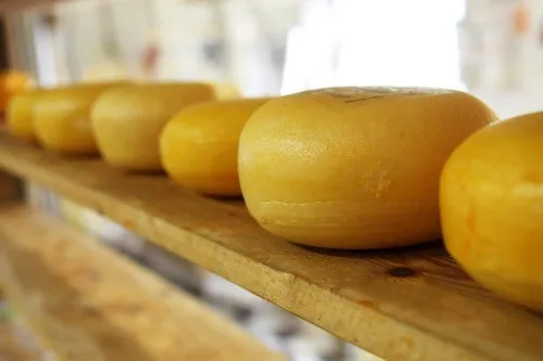 По итогам января-октября 2021 года производство сыра в Ивановской области выросло в два раза