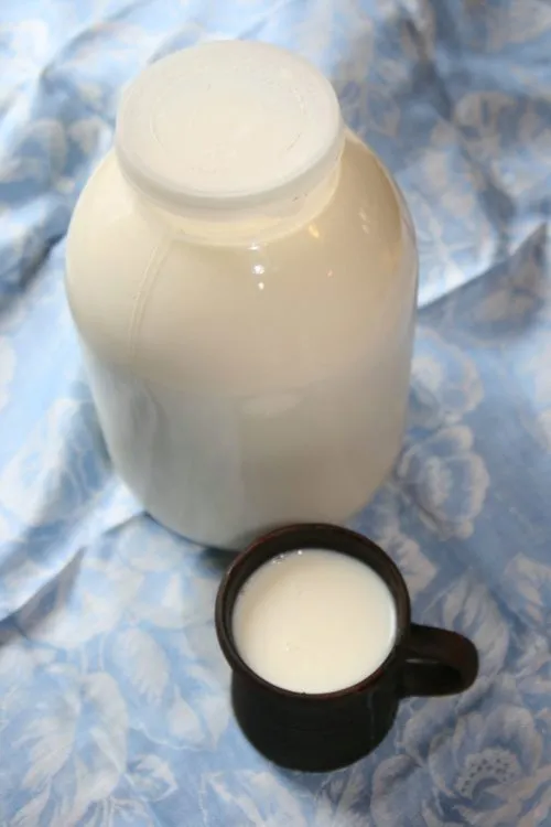 фотография продукта Молоко сырое домашнее